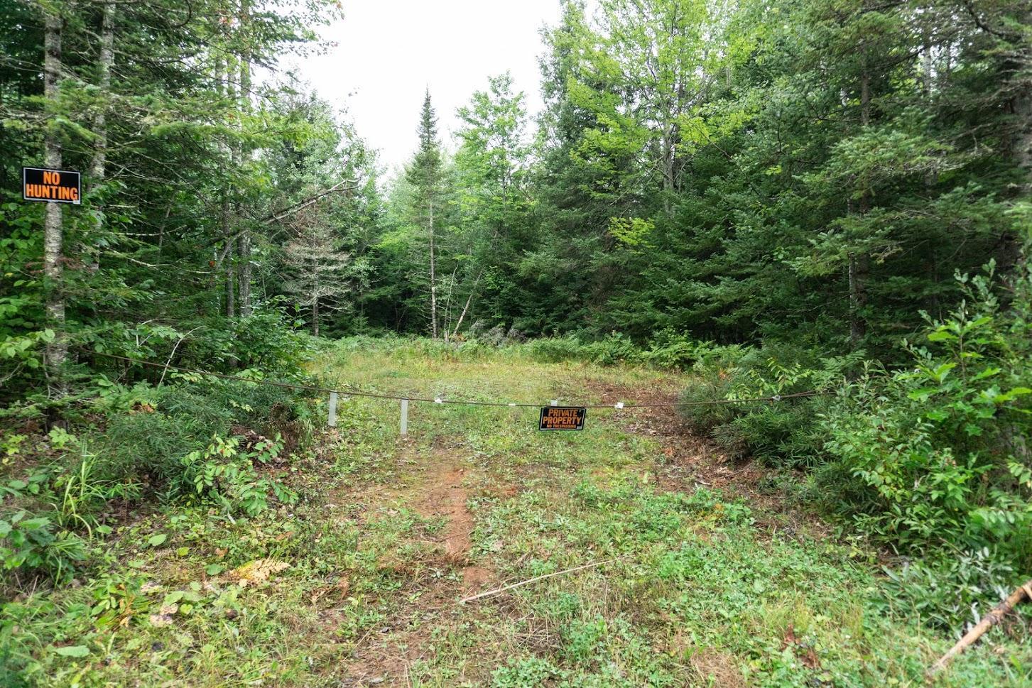 0 South Jackson Road Lake Nebagamon, WI 54849 - Photo 1 of 35
