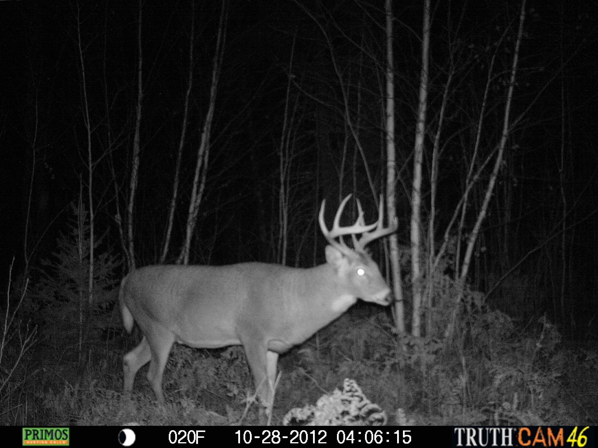 0 South Jackson Road Lake Nebagamon, WI 54849 - Photo 29 of 35