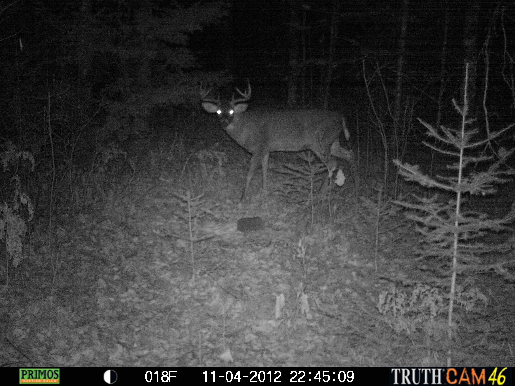 0 South Jackson Road Lake Nebagamon, WI 54849 - Photo 30 of 35