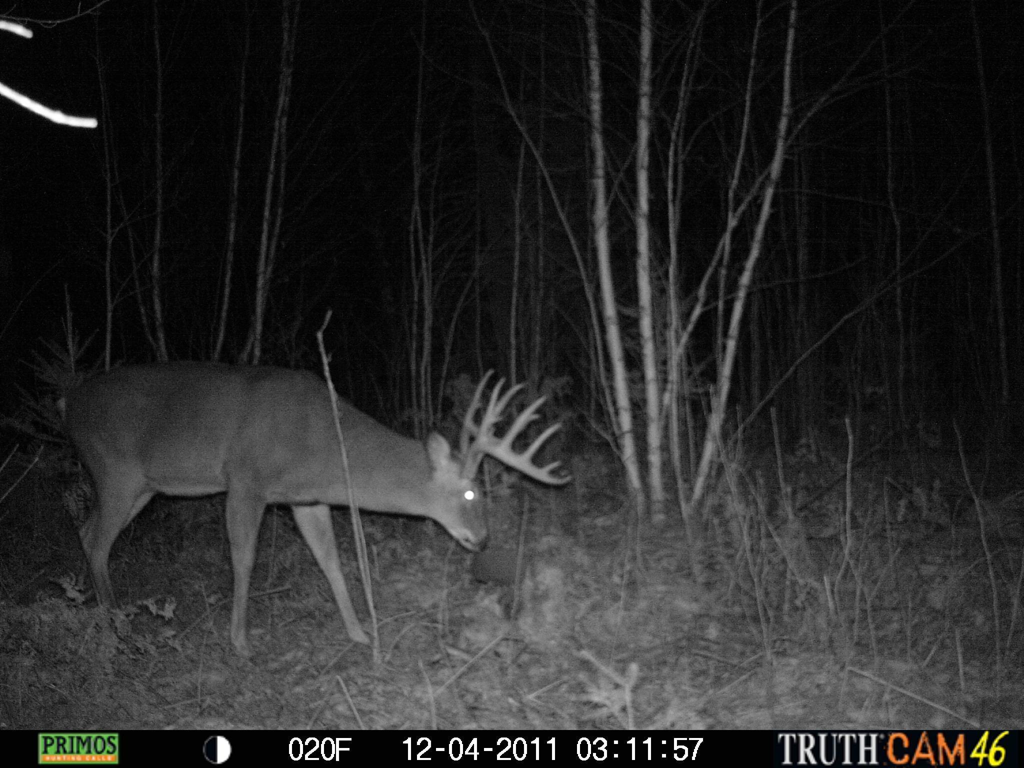 0 South Jackson Road Lake Nebagamon, WI 54849 - Photo 33 of 35