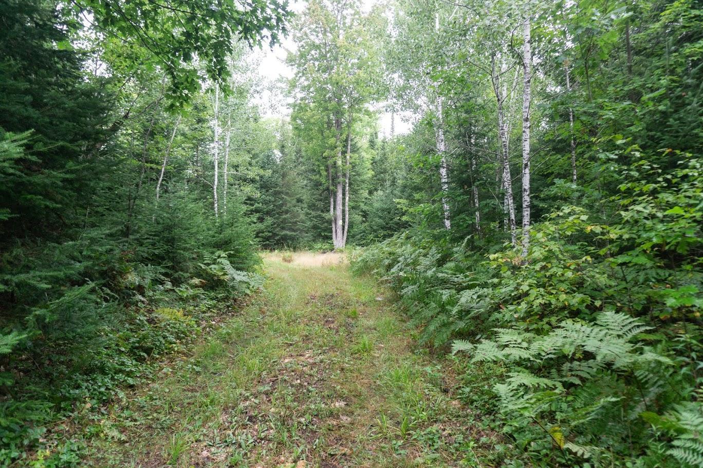0 South Jackson Road Lake Nebagamon, WI 54849 - Photo 7 of 35
