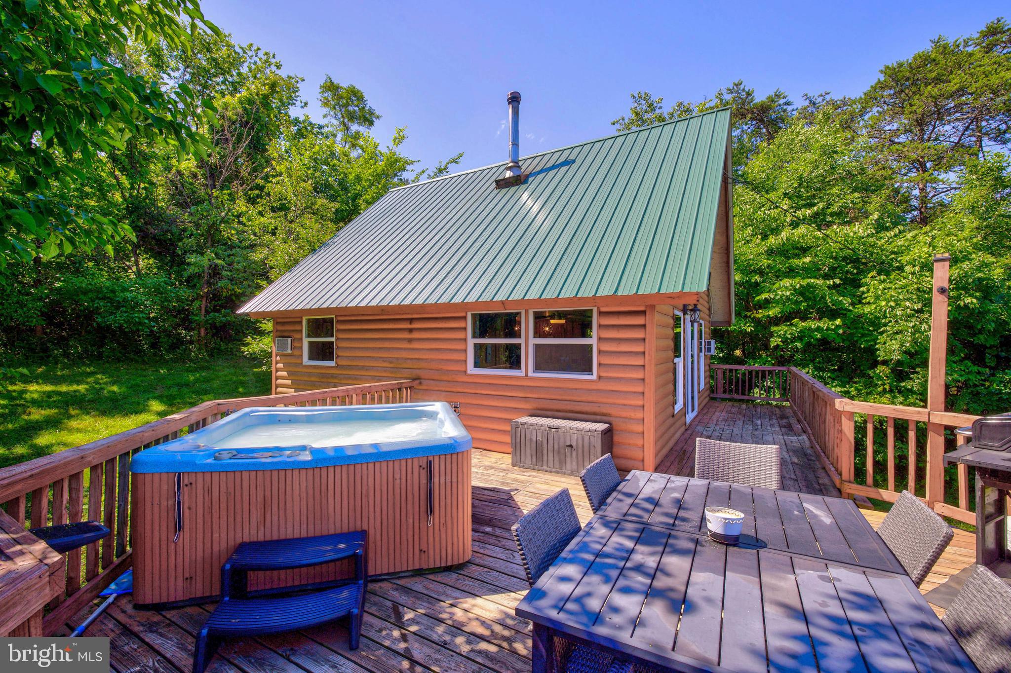 707 Overlook Drive Rileyville, VA 22650 - Photo 66 of 94