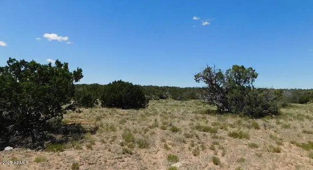 $27,947 | 205 County Road, Chambers, AZ 86502