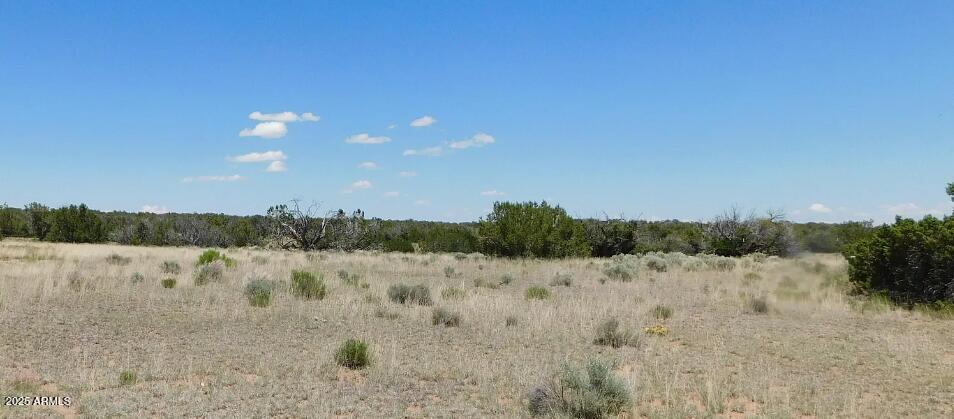 205 County Road Chambers, AZ 86502 - Photo 12 of 12 205 County Rd N7291