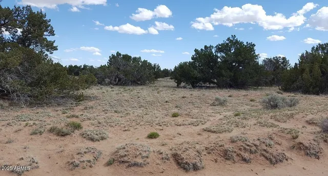 $27,947 | 205 County Road, Chambers, AZ 86502