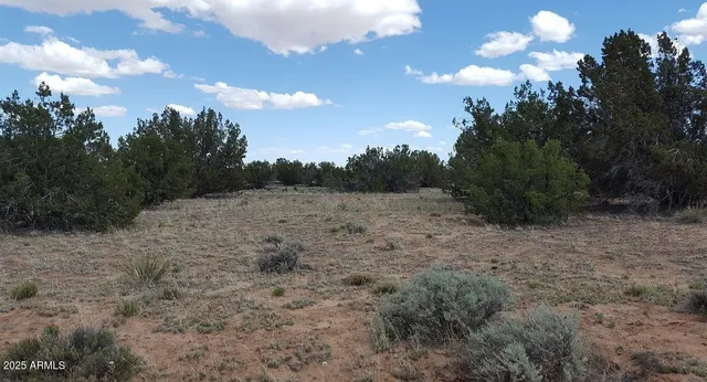 $27,947 | 205 County Road, Chambers, AZ 86502