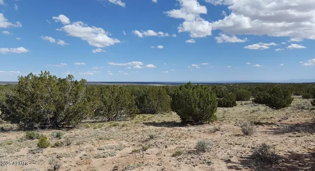 $27,947 | 205 County Road, Chambers, AZ 86502