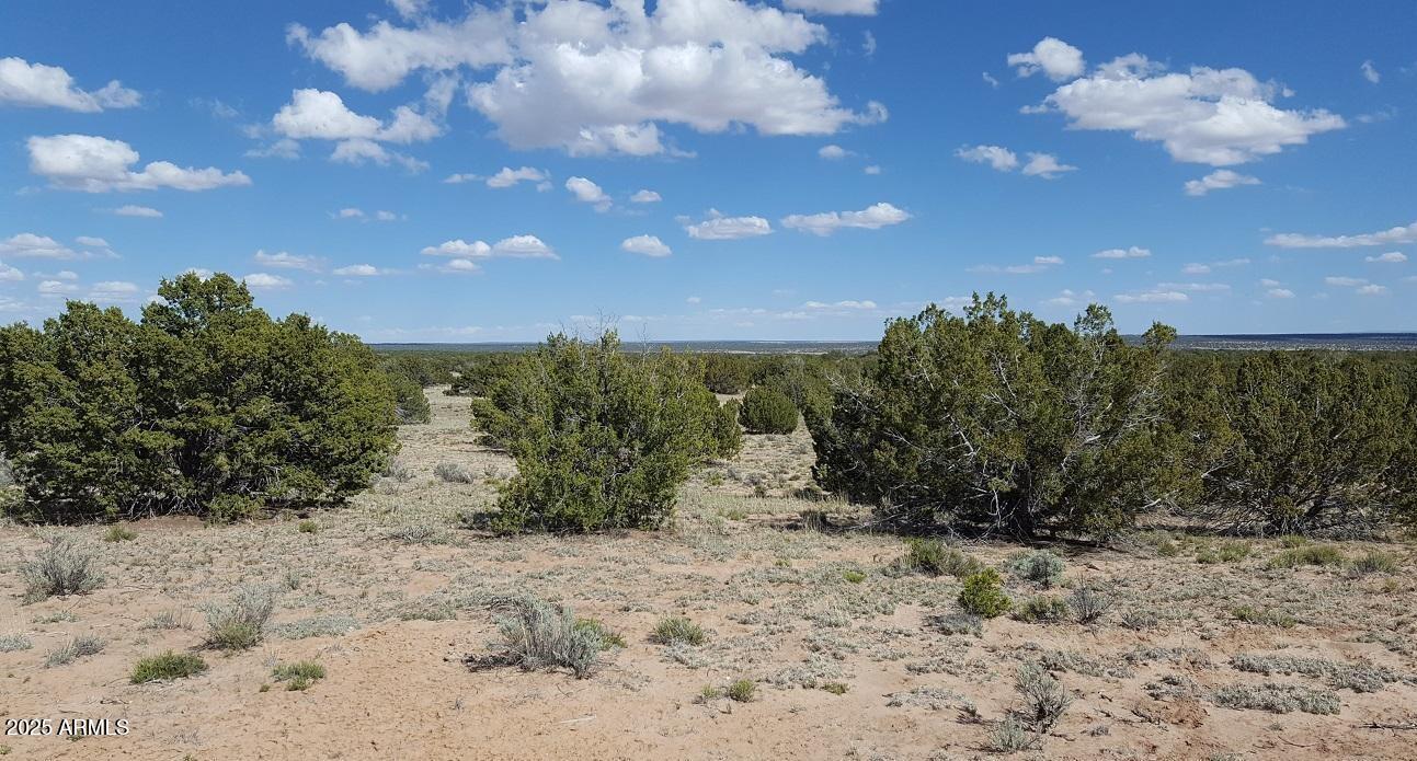 205 County Road Chambers, AZ 86502 - Photo 9 of 12 205 County Rd N7291