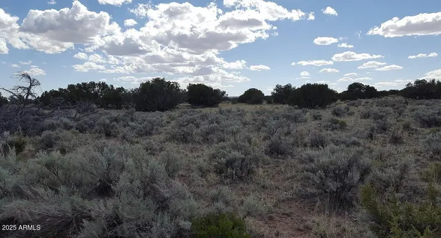 $27,947 | 205 County Road, Chambers, AZ 86502