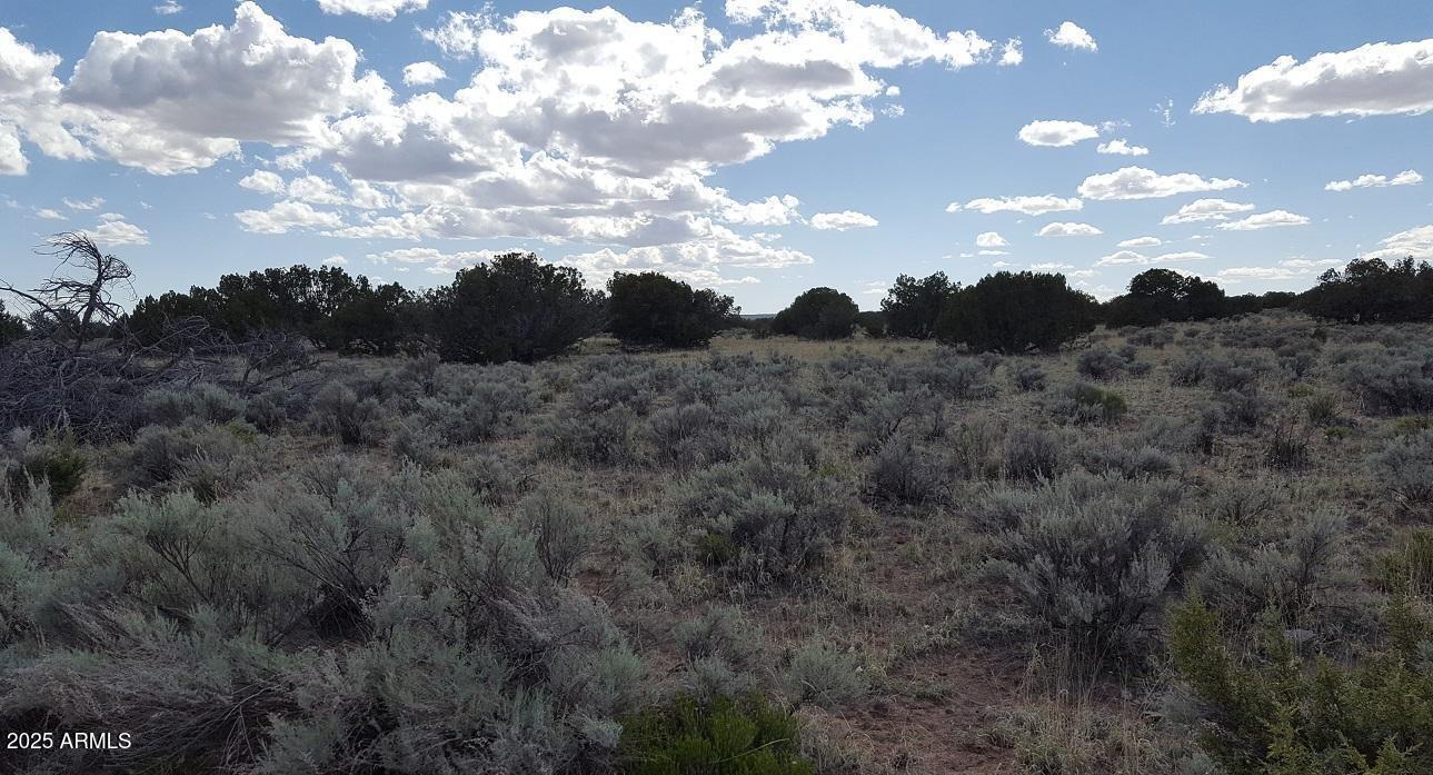 205 County Road Chambers, AZ 86502 - Photo 10 of 12 205 County Rd N7291