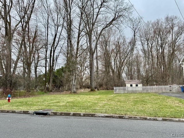 733 West Embargo Street Rome, NY 13440 - Photo 24 of 28 City owned lot. Sellers mow but city maintains tre