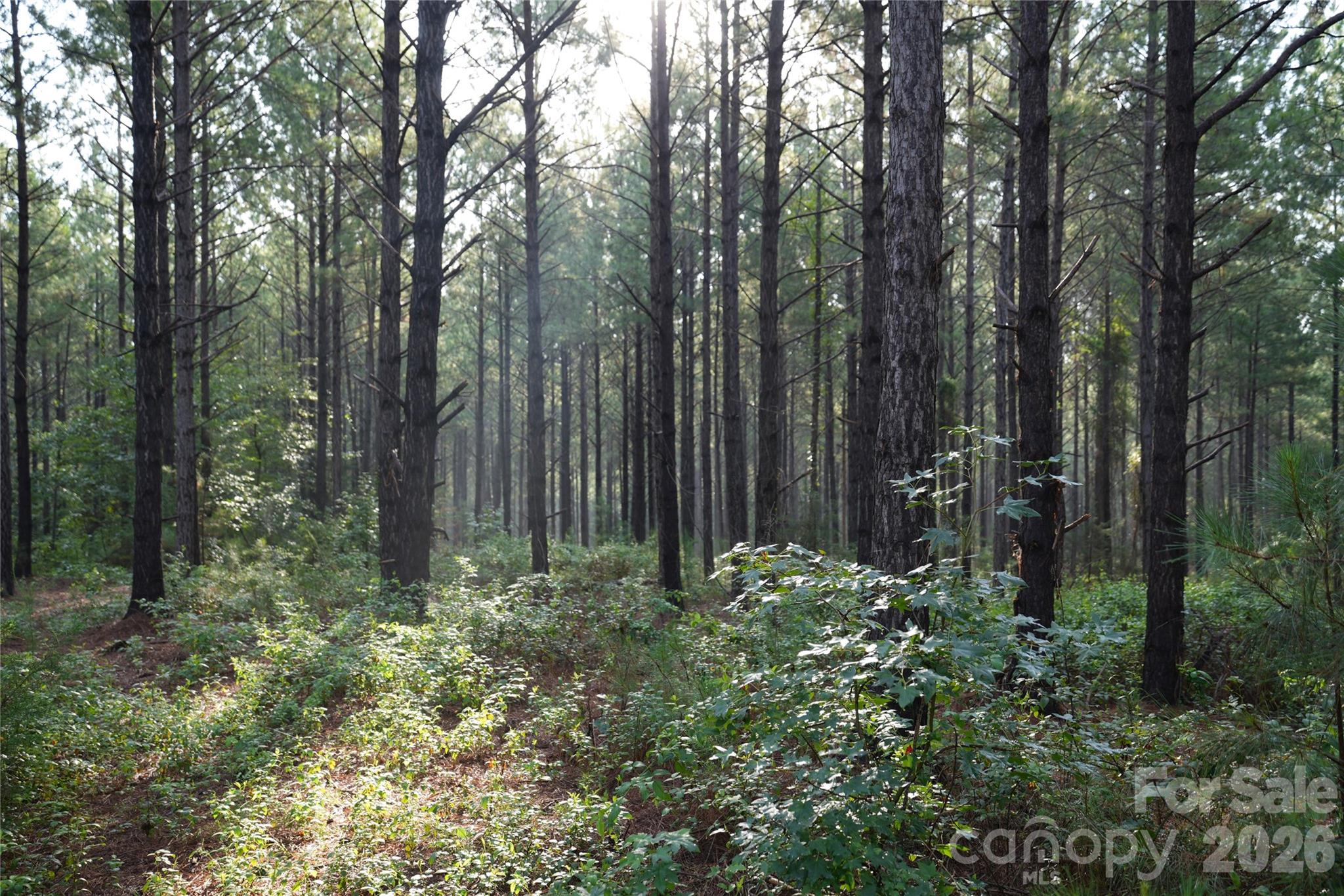 0 Bobby Faucette Road, Unit 9 Jonesville, SC 29353 - Photo 13 of 15 Gallery Image 13