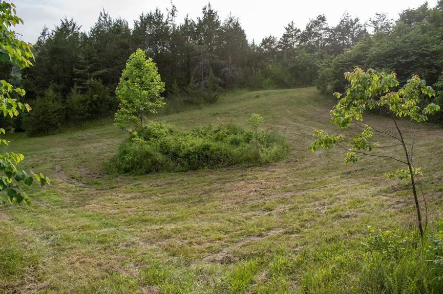 0 Mountain Valley Road, Unit TR5 Eidson, TN 37731 - Photo 11 of 23 DSC_4946