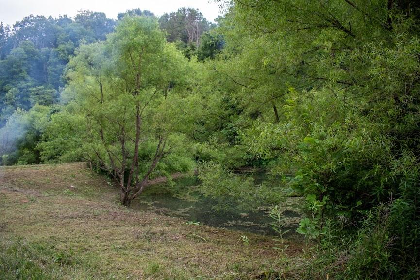 0 Mountain Valley Road, Unit TR5 Eidson, TN 37731 - Photo 12 of 23 DSC_4956