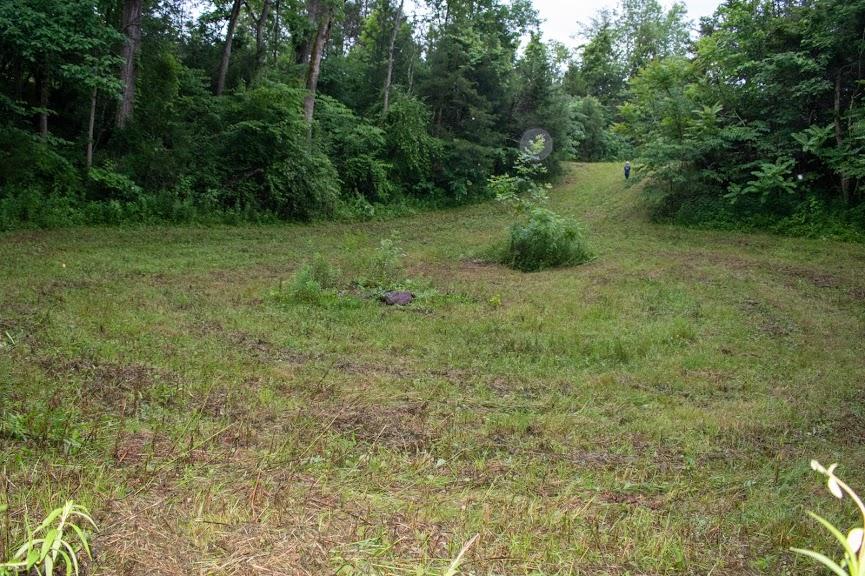 0 Mountain Valley Road, Unit TR5 Eidson, TN 37731 - Photo 13 of 23 DSC_4966