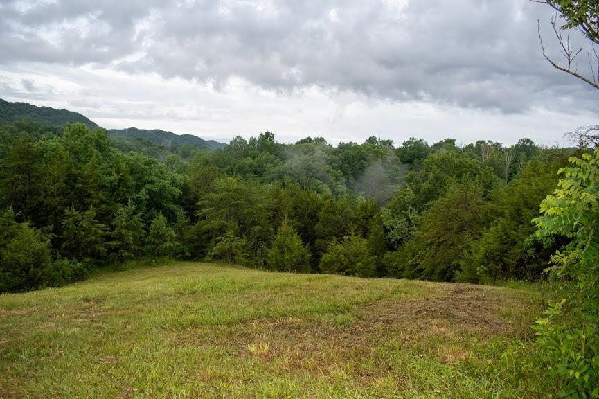 0 Mountain Valley Road, Unit TR5 Eidson, TN 37731 - Photo 14 of 23 DSC_4969