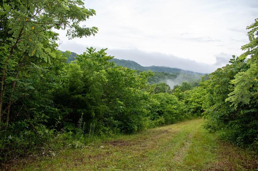 0 Mountain Valley Road, Unit TR5 Eidson, TN 37731 - Photo 15 of 23 DSC_4989