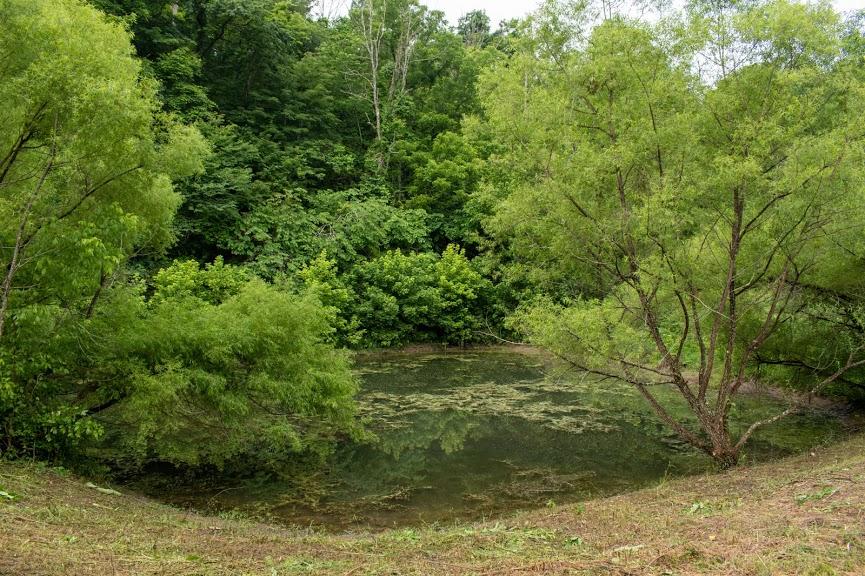 0 Mountain Valley Road, Unit TR5 Eidson, TN 37731 - Photo 17 of 23 DSC_5015