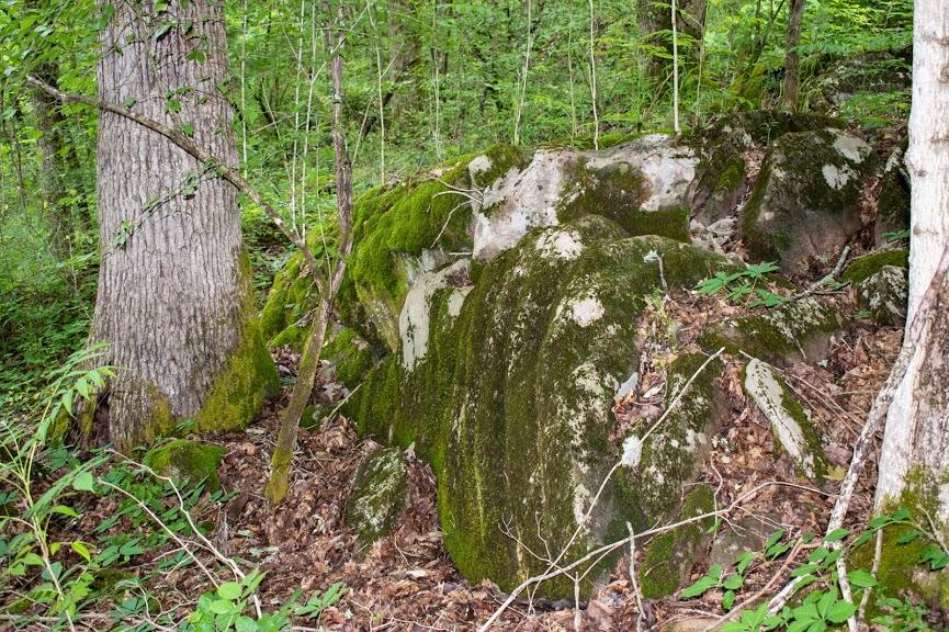0 Mountain Valley Road, Unit TR5 Eidson, TN 37731 - Photo 18 of 23 DSC_5026