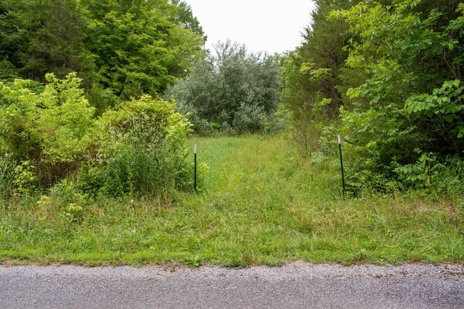 0 Mountain Valley Road, Unit TR5 Eidson, TN 37731 - Photo 22 of 23 DSC_5086