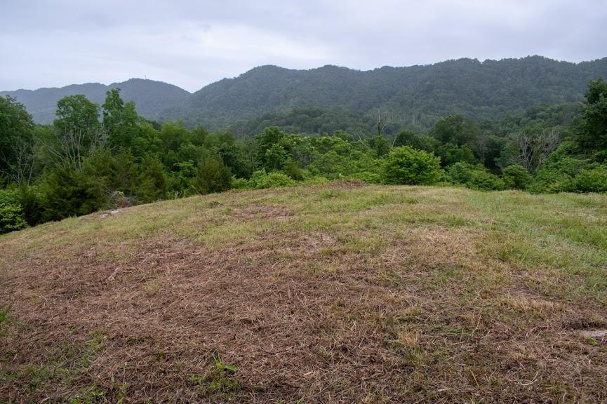 0 Mountain Valley Road, Unit TR5 Eidson, TN 37731 - Photo 8 of 23 DSC_4912