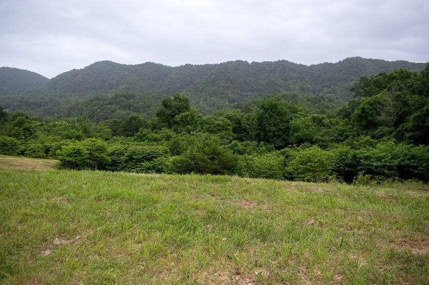 0 Mountain Valley Road, Unit TR5 Eidson, TN 37731 - Photo 9 of 23 DSC_4917