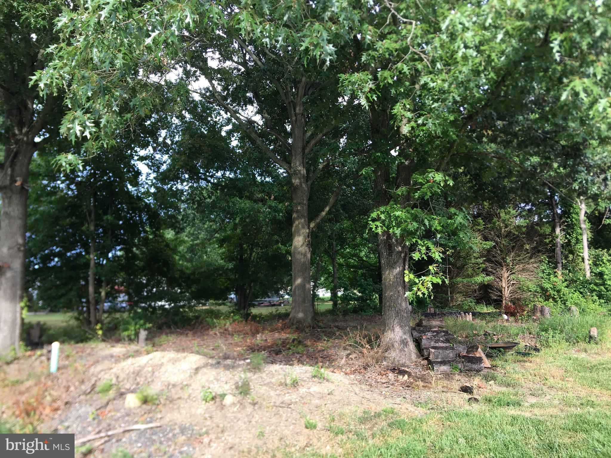 Azalea Road Colonial Beach, VA 22443 - Photo 3 of 3 STREET FACING VIEW INTO LOT