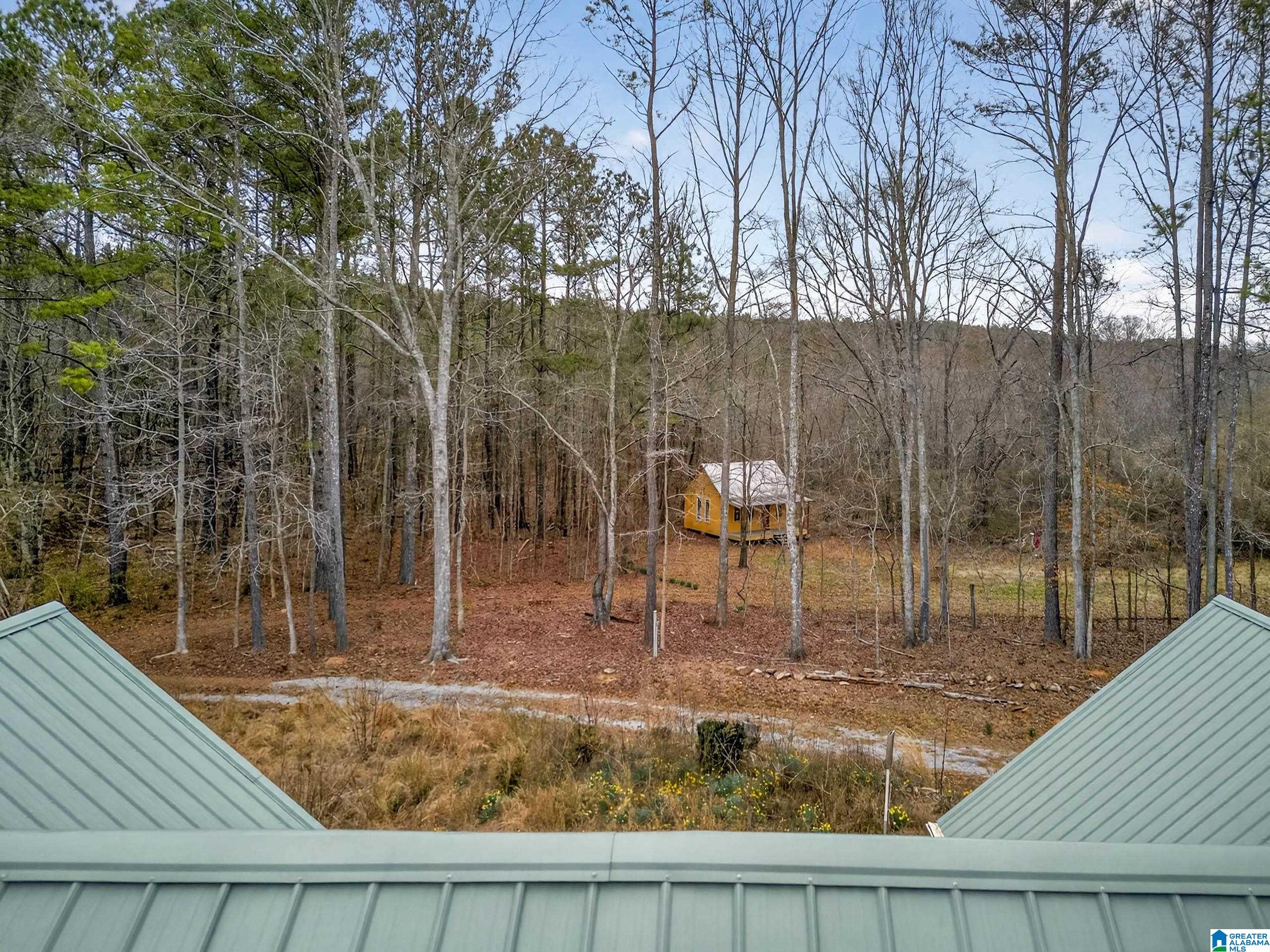 1285 White Oak Road Ashland, AL 36251 - Photo 65 of 71