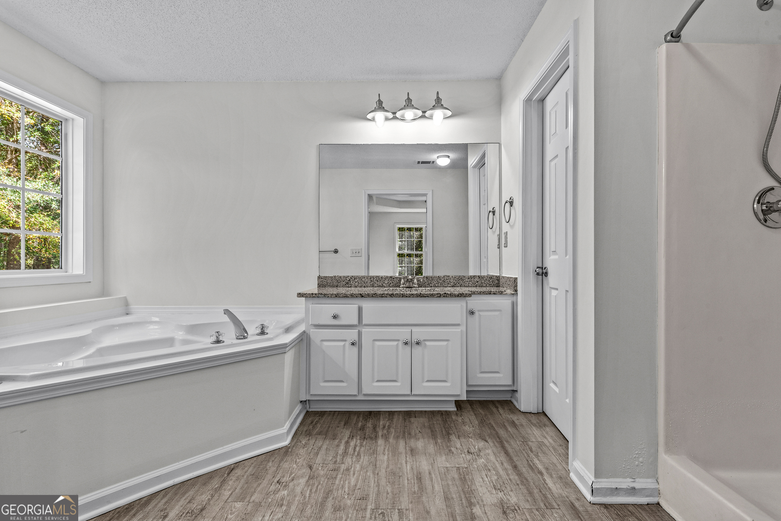 427 Bridges Way Winterville, GA 30683 - Photo 32 of 43 a bathroom with a sink mirror and a bathtub
