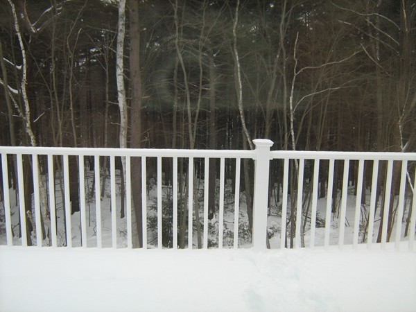 211 Great Plains Road West Springfield, MA 01089 - Photo 6 of 7 Gallery Image 6