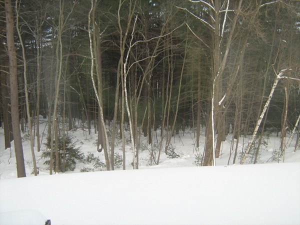 211 Great Plains Road West Springfield, MA 01089 - Photo 7 of 7 Gallery Image 7