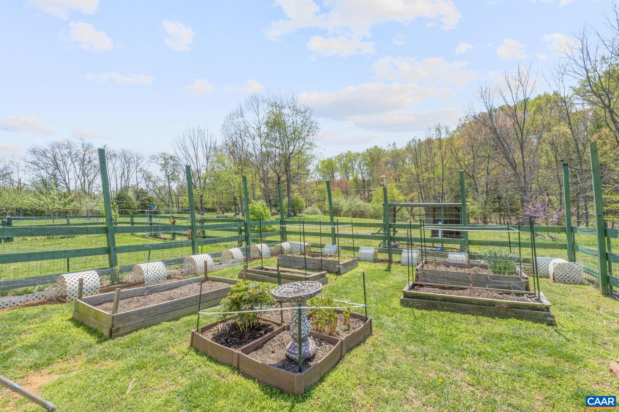 3457 Morgantown Road Charlottesville, VA 22903 - Photo 10 of 64
