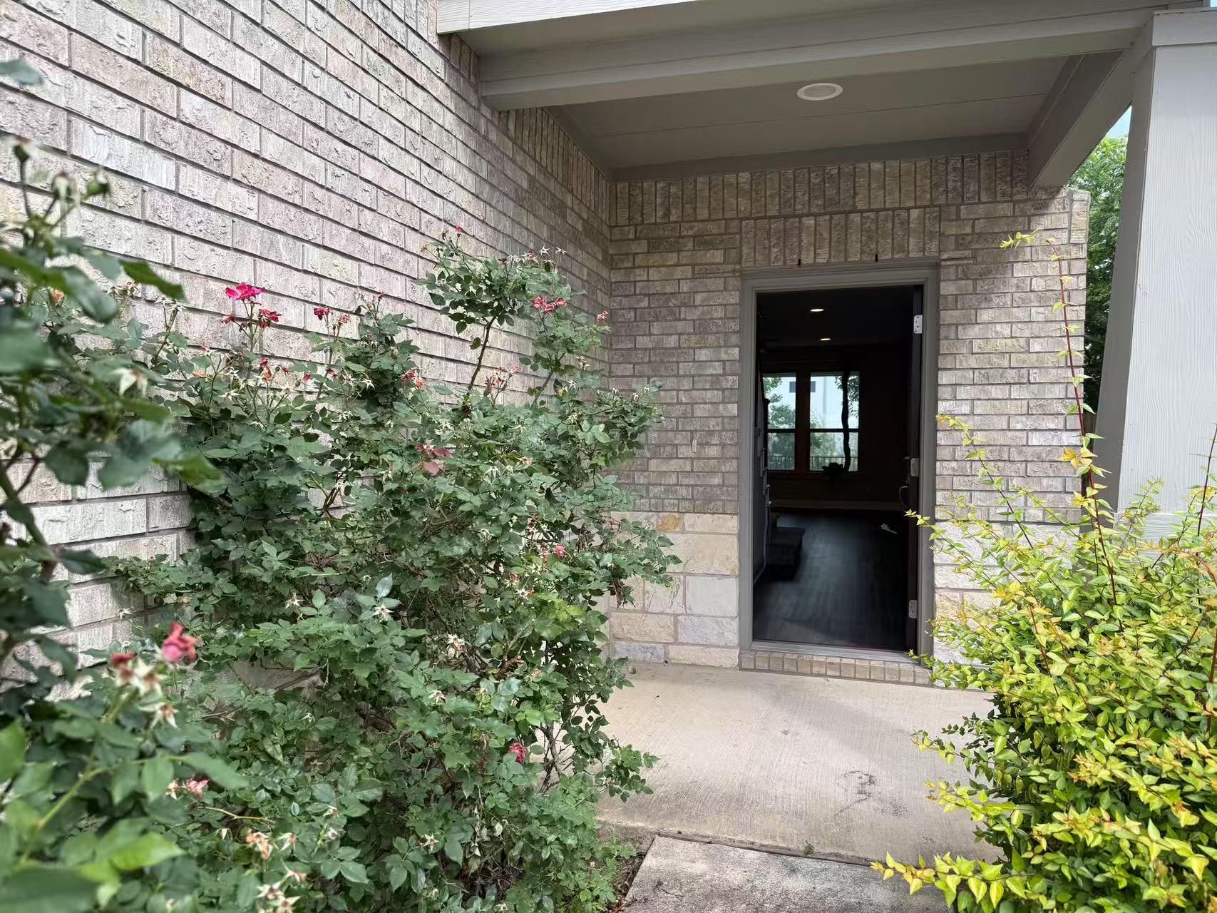 16103 Windroot Street Austin, TX 78728 - Photo 3 of 32 Entrance to property with brick siding