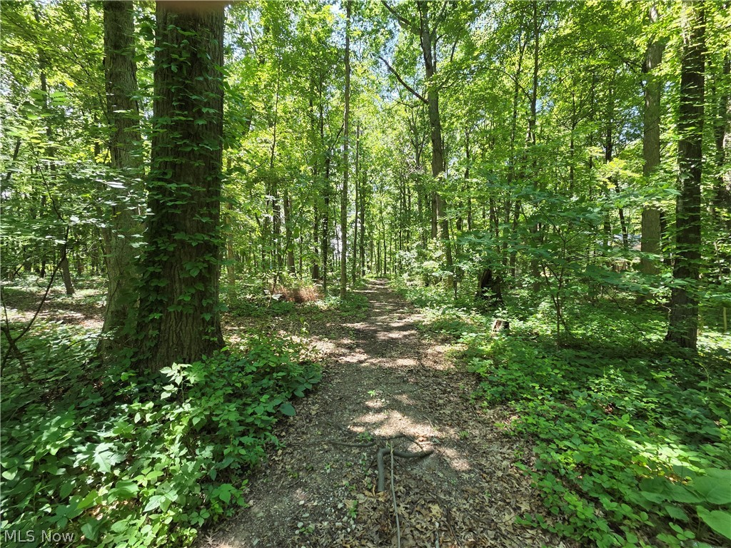 V/l - Poorman Road Vermilion, OH 44089 - Photo 5 of 7 Gallery Image 5