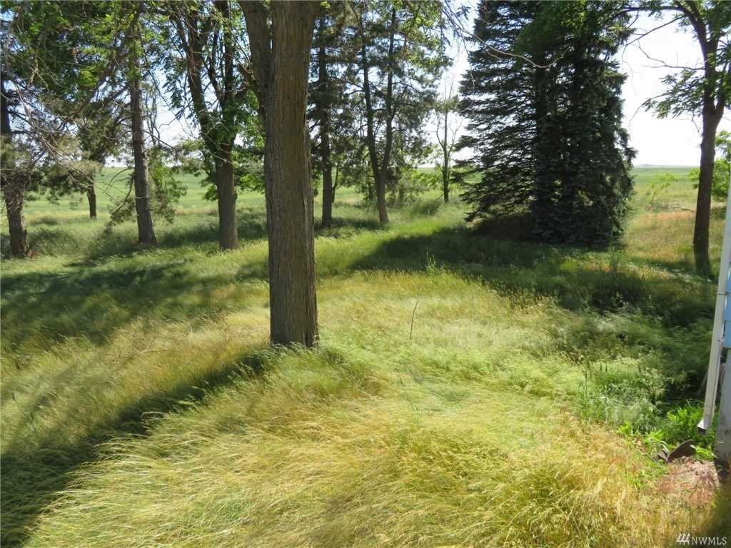 34518 Mohler Road East Sprague, WA 99032 - Photo 4 of 20 Gallery Image 4
