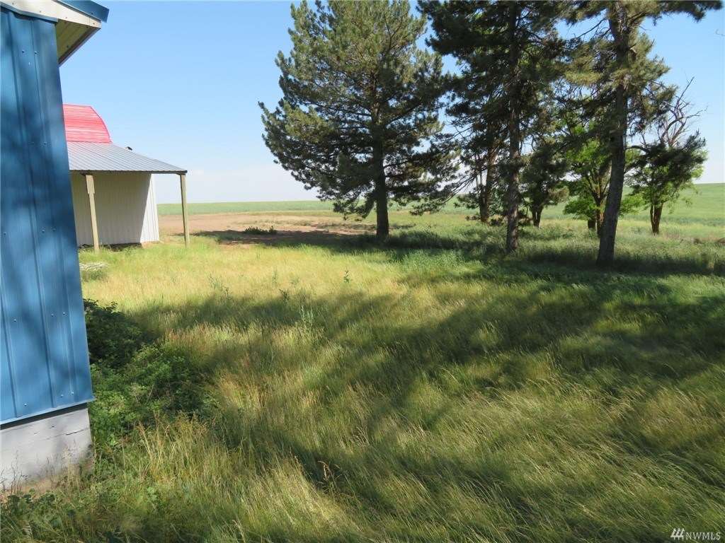 34518 Mohler Road East Sprague, WA 99032 - Photo 5 of 20 Gallery Image 5