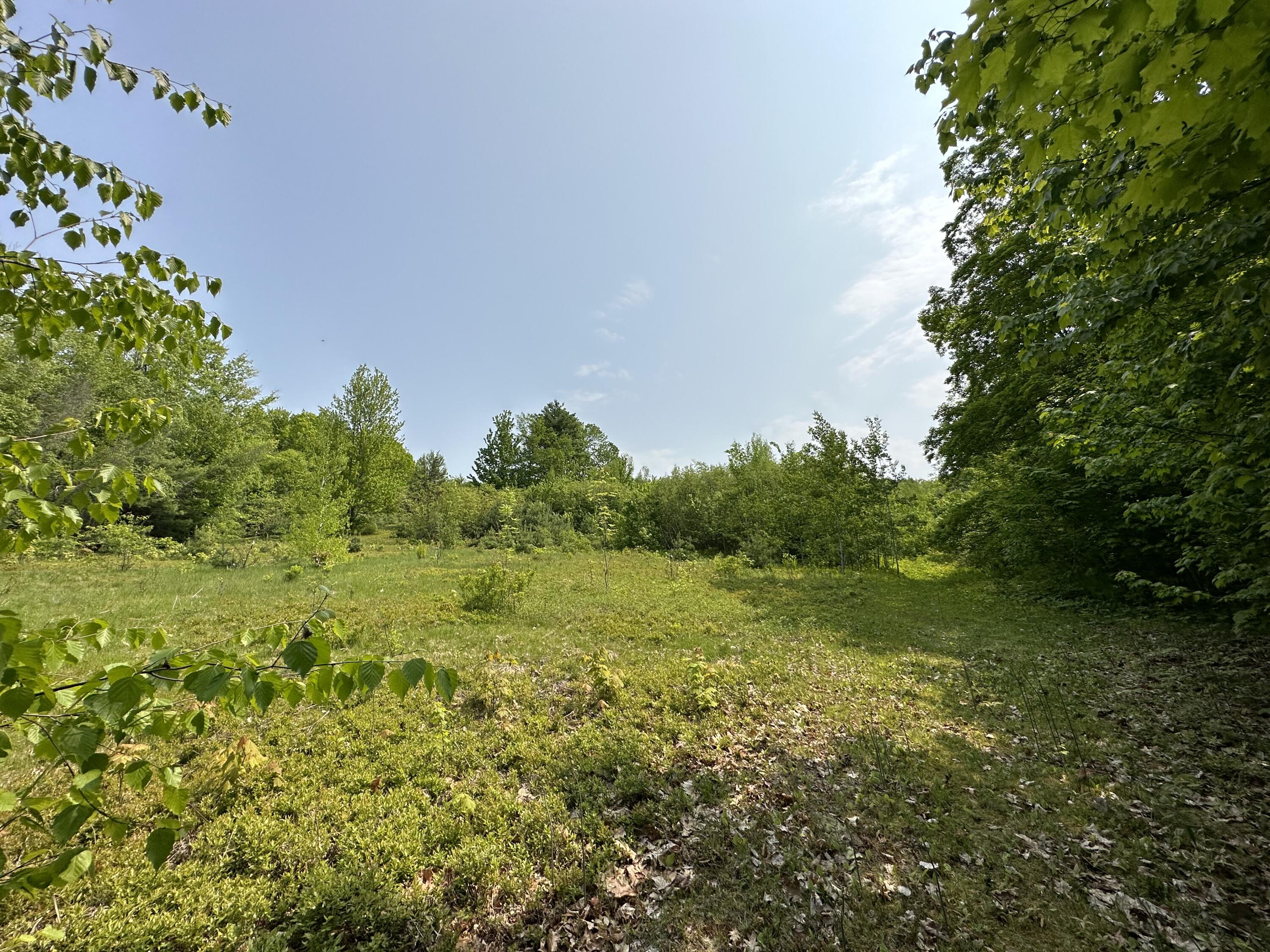 0 Stagecoach Road Parsonsfield, ME 04047 - Photo 7 of 13 IMG_0593