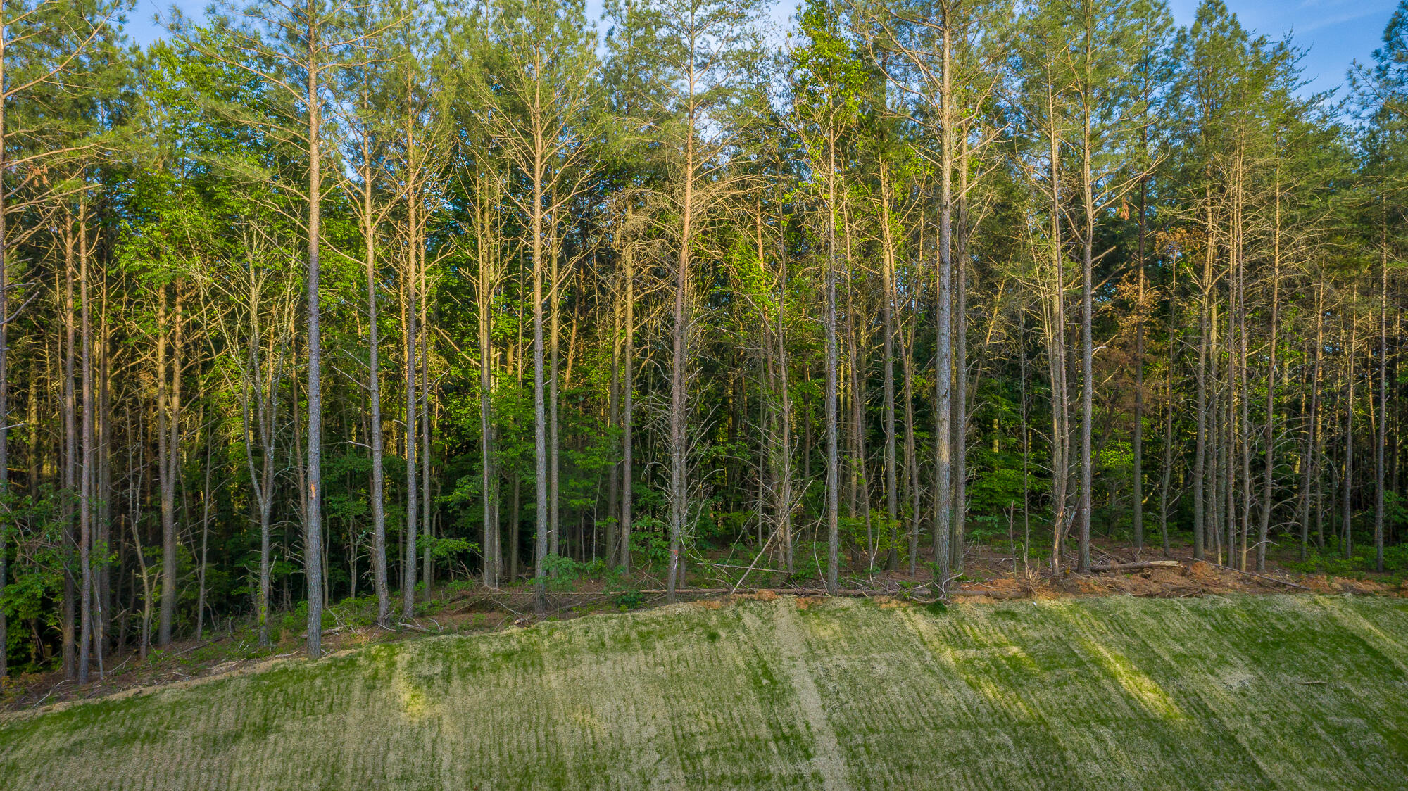 0 Cannon Way, Unit LOT 1317 Guild, TN 37340 - Photo 19 of 99 0 Cannon Way - Lot 1317 HD-3