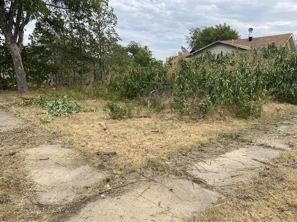 a view of a yard with plants and trees