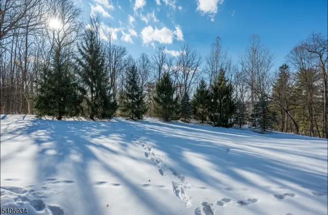 a front view of house with a yard