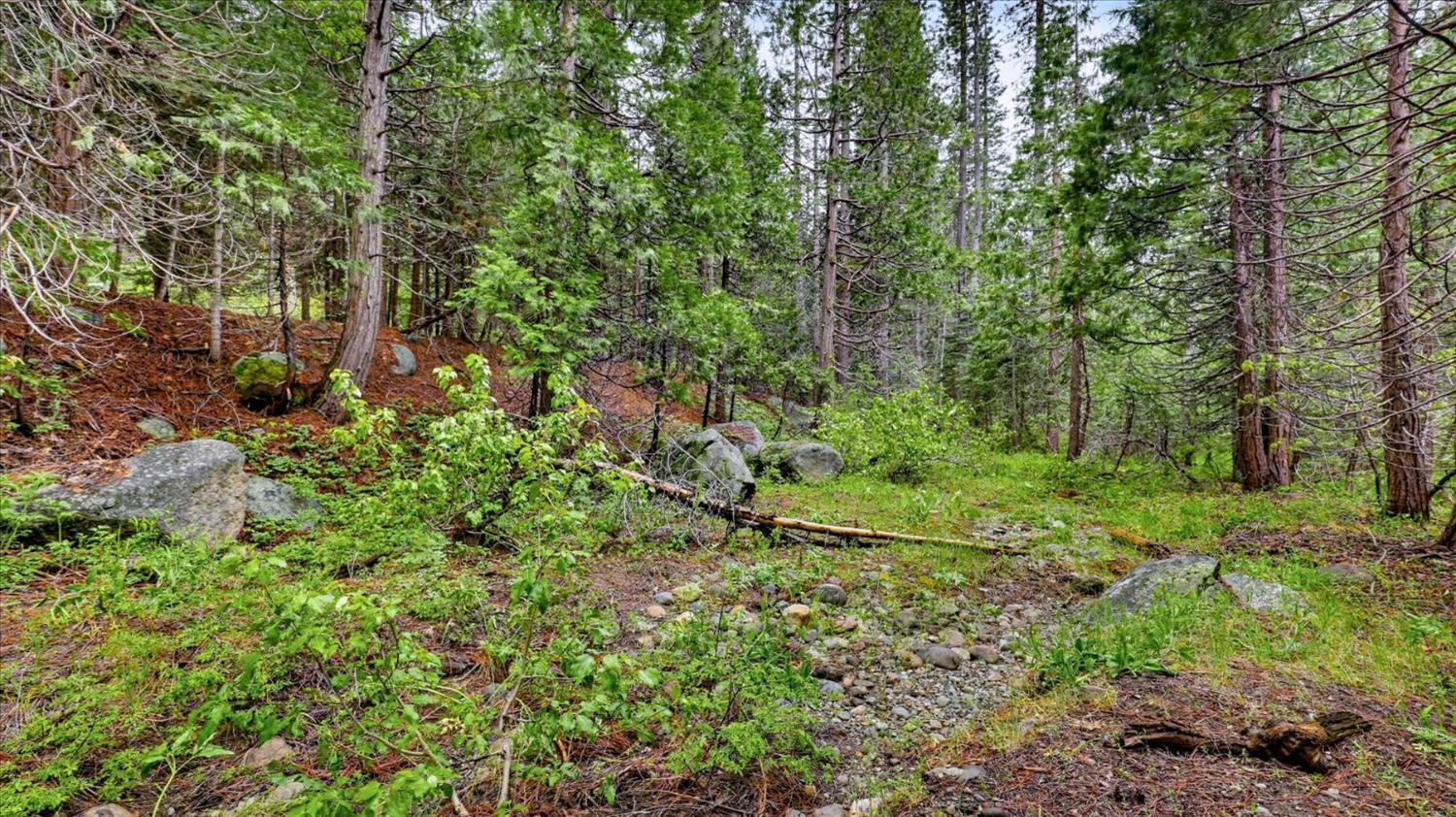 0 Texas Hill Road Emigrant Gap, CA 95715 - Photo 18 of 24