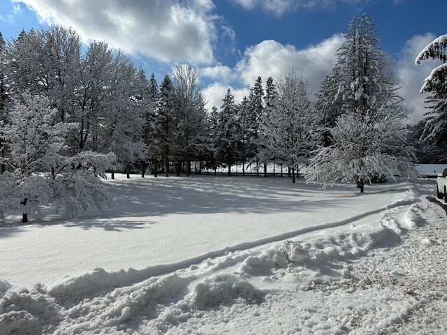 61 Fuller Road Palmer, MA 01069 - Photo 1 of 28