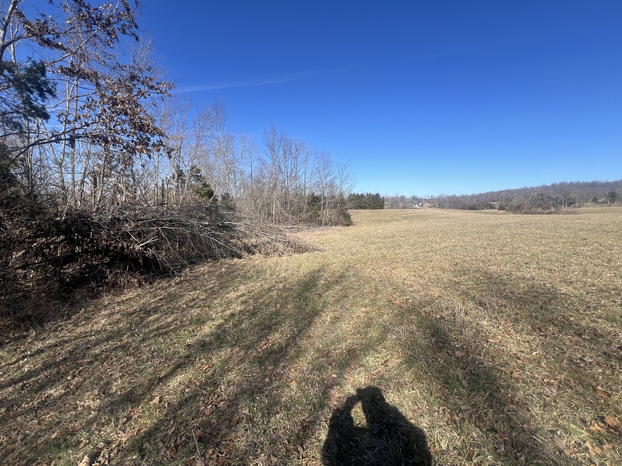 9 Marion Road Fredonia, KY 42411 - Photo 2 of 11