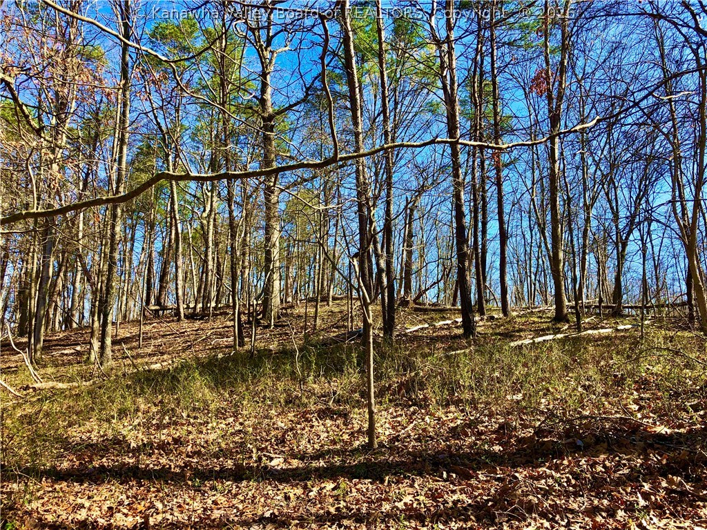 328 Kens Lake Estates Road Winfield, WV 25213 - Photo 10 of 14 Gallery Image 10