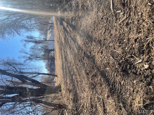 3256 Old Troy Road Glen Carbon, IL 62034 - Photo 3 of 9