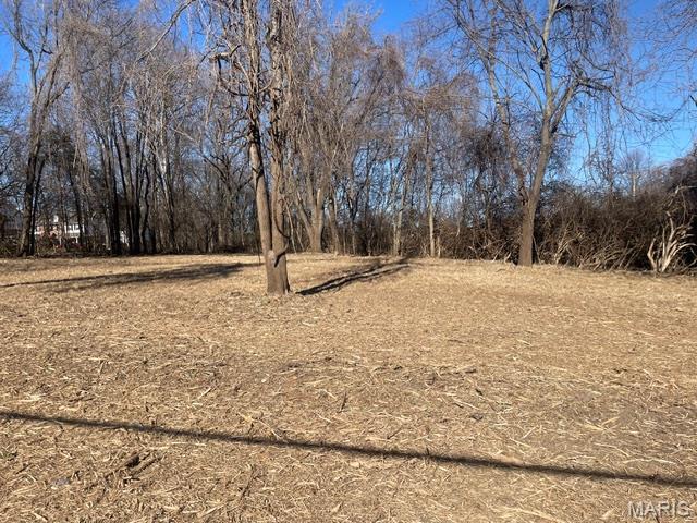 3256 Old Troy Road Glen Carbon, IL 62034 - Photo 5 of 9