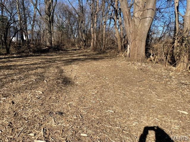 3256 Old Troy Road Glen Carbon, IL 62034 - Photo 8 of 9