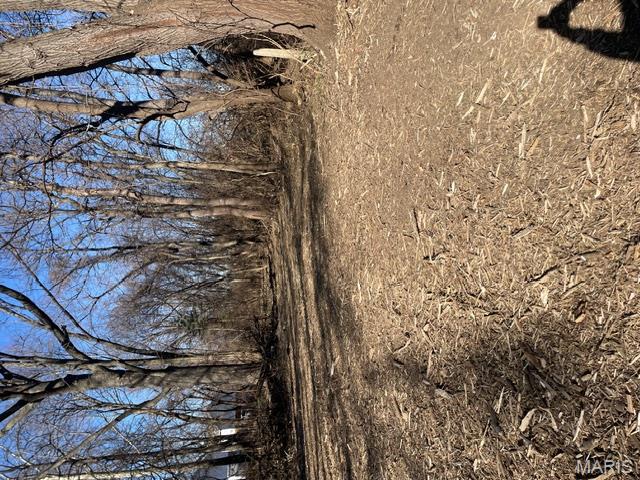 3256 Old Troy Road Glen Carbon, IL 62034 - Photo 9 of 9