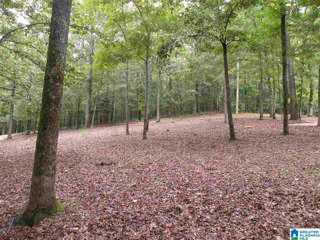1100 Pine Ridge Circle Sylacauga, AL 35150 - Photo 34 of 35
