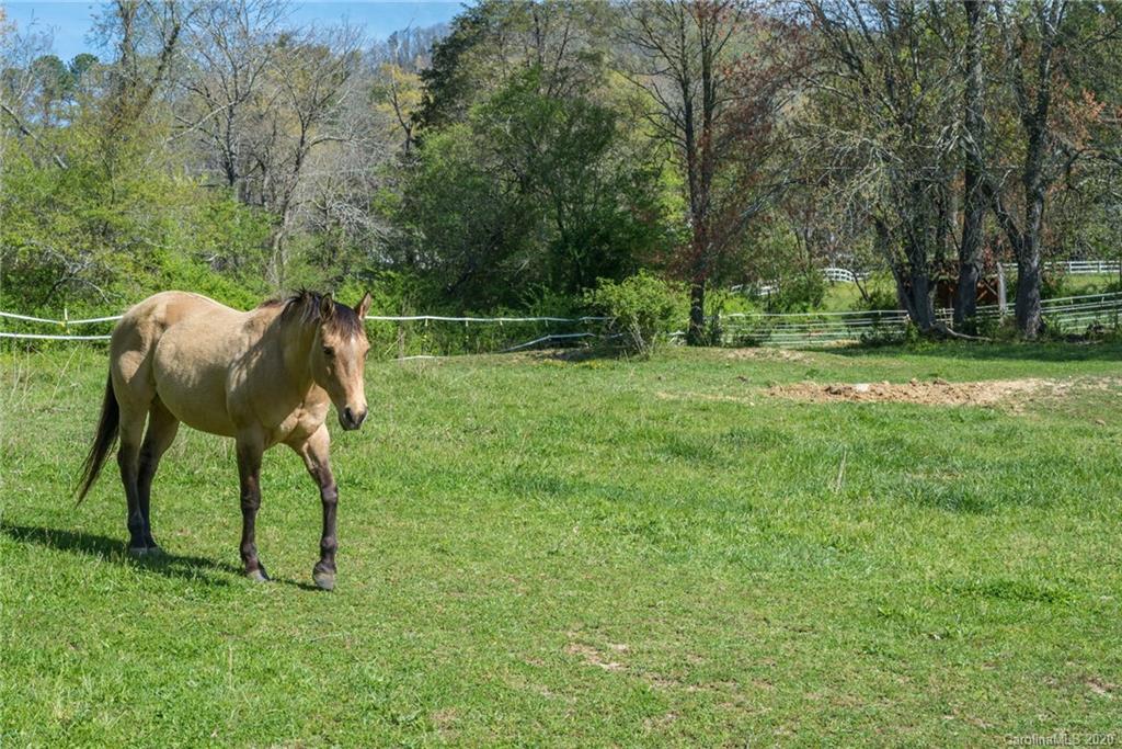 609 Old Fort Road Fairview, NC 28730 - Photo 41 of 44 Gallery Image 41